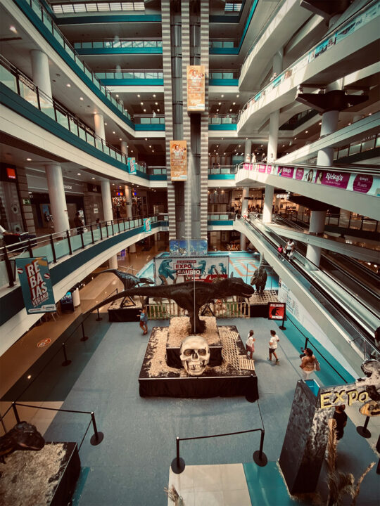 Disfruta de nuestro Exposaurio 2021