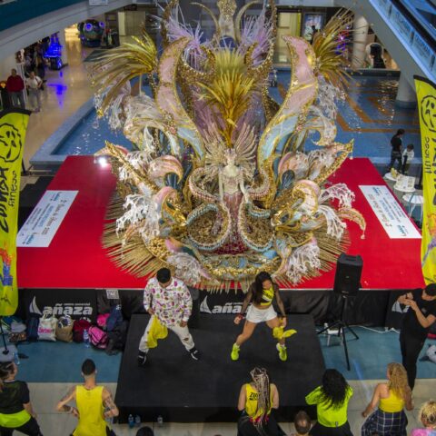 MASTERCLASS ZUMBA CC AÑAZA CARREFOUR