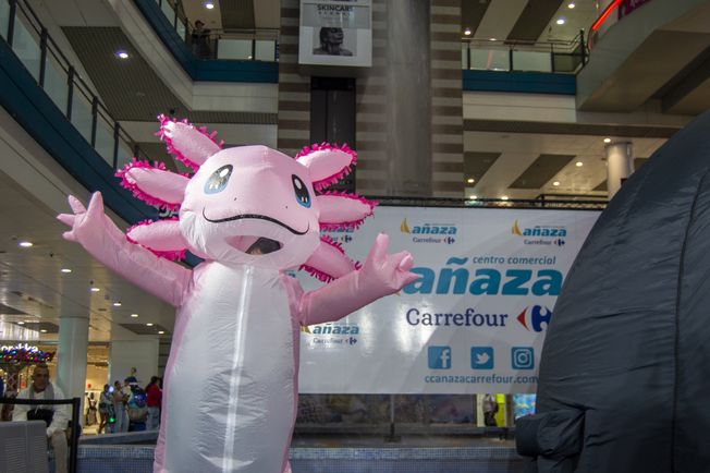 PLANETARIO BAJO EL MAR CC AÑAZA CARREFOUR