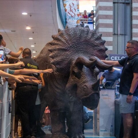 Revive la Asombrosa Aventura Prehistórica en CC Añaza Carrefour