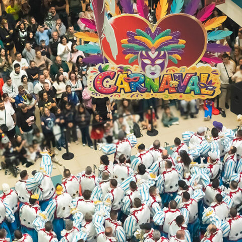 Actuaciones de Carnaval en el Centro Comercial Añaza