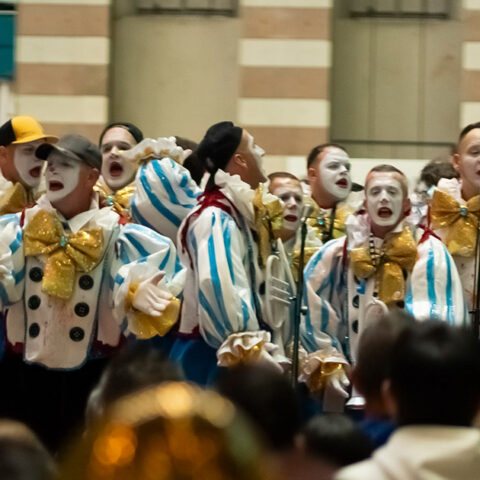 Actuaciones de Carnaval en el Centro Comercial Añaza