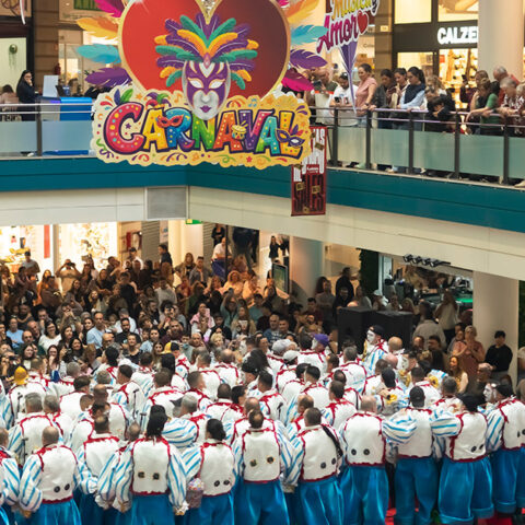 Actuaciones de Carnaval en el Centro Comercial Añaza