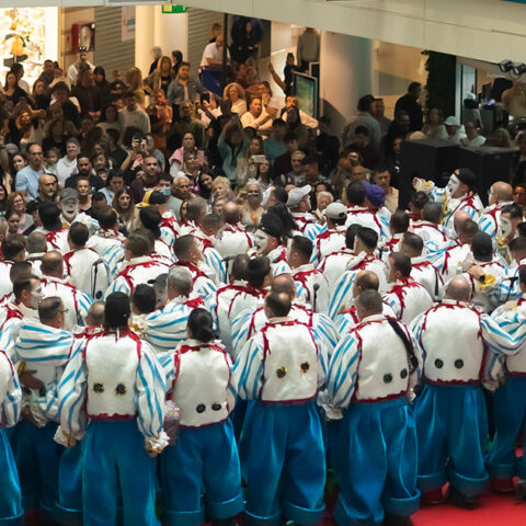 Actuaciones de Carnaval en el Centro Comercial Añaza