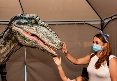 Nuestra Aventura con Exposaurio