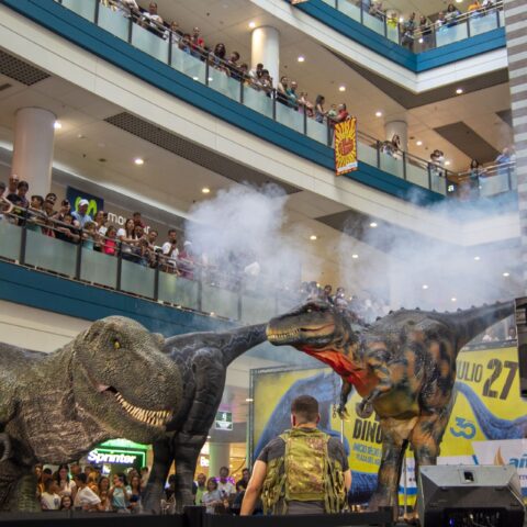 SHOW DINOSAURIOS CC AÑAZA CARREFOUR