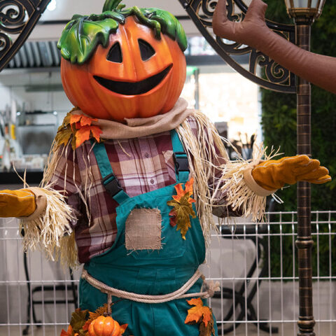 Añaza_halloween_se_juega_en_familia_2026_18
